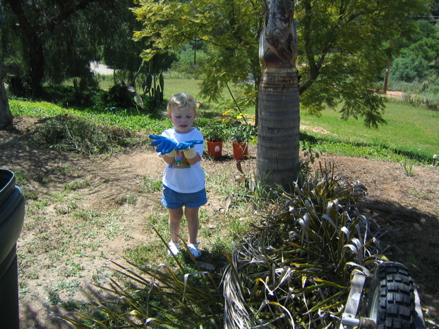 IMG_1247.JPG