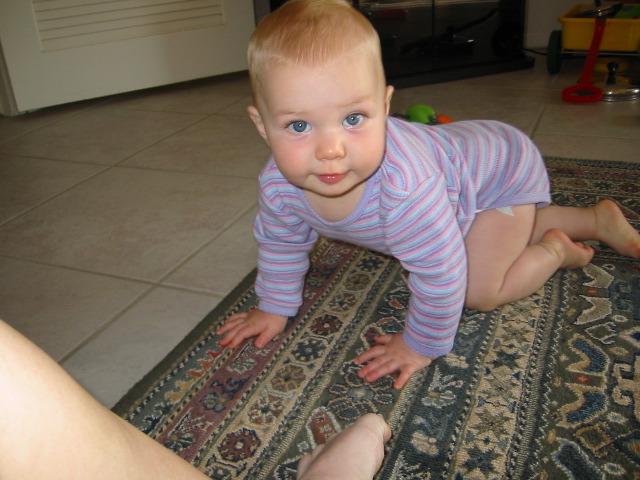 IMG_1585.JPG