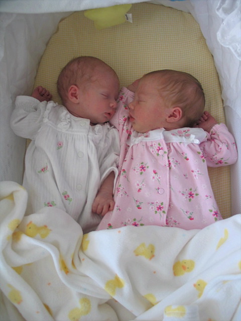 twins3_1